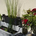 Apartamento Ahrtalblick