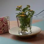 Ahrtalblick Sinzig