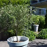 Ahrtalblick Apartamento *