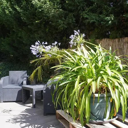 Ahrtalblick Апартаменты *