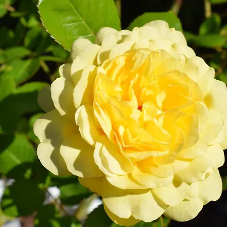 Ahrtalblick Апартаменты *