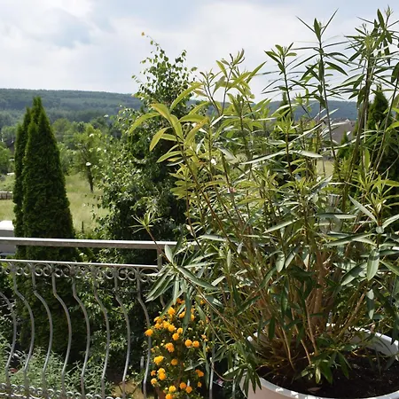 Ahrtalblick Apartment