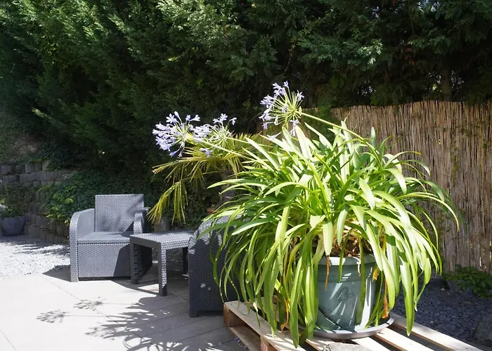 Ahrtalblick Lejlighed *