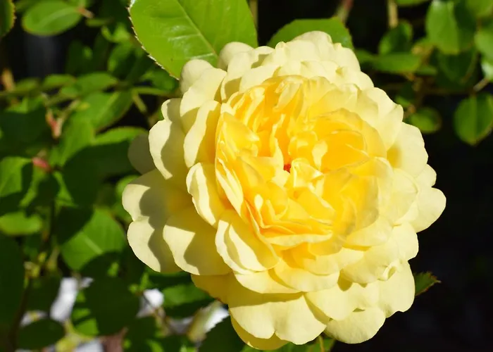 Ahrtalblick Apartamento *