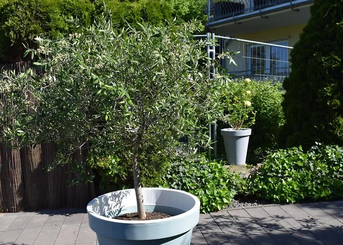 Ahrtalblick Apartamento *