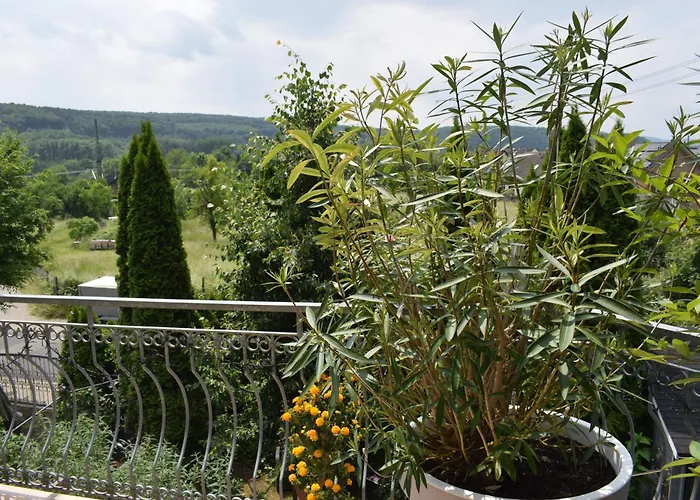 Ahrtalblick Apartamento